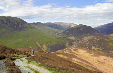 A hiker walking in the mountains of the English Lake District. Approaching Barrow Door with Outerside, Sail and Crag hill in the distance.