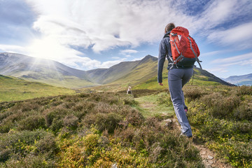 A hiker walking up a mountain ridge, The Edge, towards Ullock Pike, Carl Side and Skiddaw in the English Lake District UK. - obrazy, fototapety, plakaty