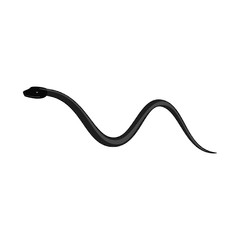 Vector design of harm and bite icon. Set of harm and reptile stock symbol for web.