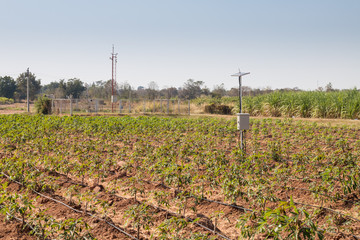 agriculture and Internet of things , smart farmer