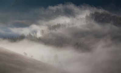 foggy summer landscape in the mountains, Salciua, Romania