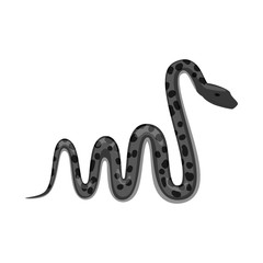 Isolated object of harm and bite symbol. Collection of harm and reptile vector icon for stock.