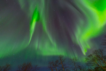 Fototapeta na wymiar Beautiful Aurora Borealis in winter