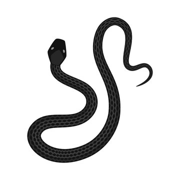 Vector design of harm and bite logo. Collection of harm and reptile vector icon for stock.