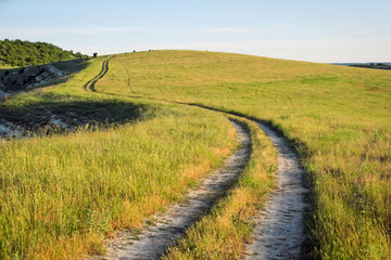 Obraz premium Summer landscape with green grass, road and trees