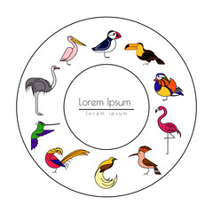 Birds are different species © Vasilina