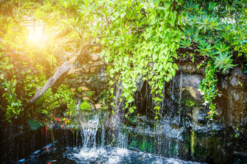 Waterfalls with trees and green leaves provide a refreshing daylight with sunshine.