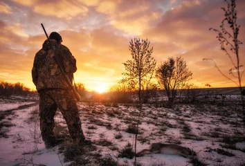 Photo sur Plexiglas Chasser Chasse hivernale aux lièvres au lever du soleil. Chasseur se déplaçant avec un fusil de chasse et à la recherche d& 39 une proie.