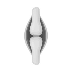 Vector design of internal and medical icon. Collection of internal and health stock symbol for web.