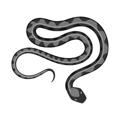 Vector design of harm and bite icon. Collection of harm and reptile stock vector illustration.