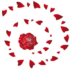 red Roses bloom spiral rose petals Walltattoo Wallsticker 