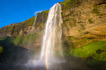 Obraz premium Seljalandfoss Waterfall in summer, Iceland
