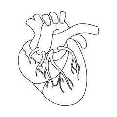 Isolated object of anatomy and organ sign. Set of anatomy and medical stock symbol for web.