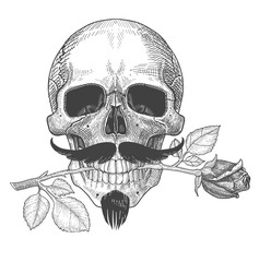 Human skull with mustache and rose. Skull with rose in the teeth, in love. St. Valentine's Day illustration
