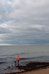 Amber seeker at Baltic  sea coast after storm.