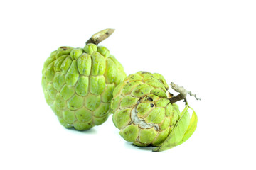 Sugar apple Close up