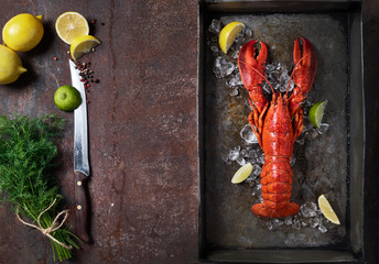 Lobster in a dark grey rusty tray served on ice with lemon and live, top view, vintage style