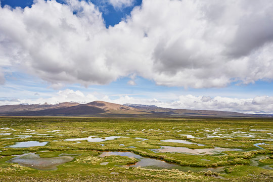 Peru, Chivay, Colca Canyon, swamp landscape in the Andes