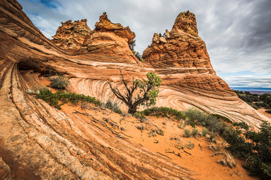America, Arizona, Kanab, Coyote Buttes