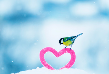 cute Valentine card with bird tit stands on a character frame in the form of a pink heart