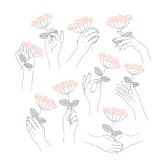 Woman hand set holding a beautiful flower. Feminine illustration. Vector illustration