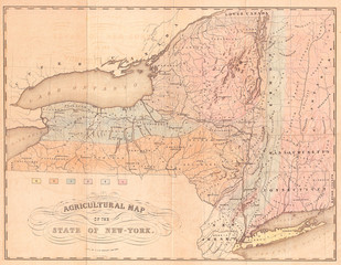 1846, Emmons Agricultural Map of New York State