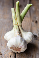 Bunch of Fresh garlic on wooden table