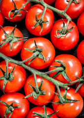 Fresh ripe tomatoes.