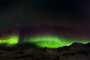 Aurora Borealis - Polarlicht