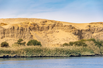 Vegetation on the banks of Nile River in Egypt