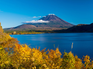 Beautiful Mountain Fuji