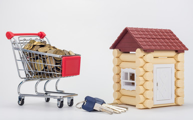 Grocery cart filled with coins, a keychain and a house for children