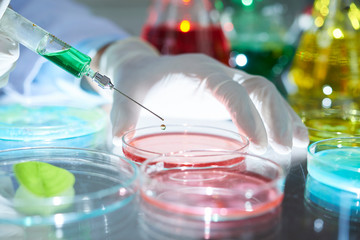 Close-up image of scientist adding some reagent into Petri dish with red liquid