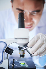 Scientist looking at green leaf through miscroscope in his laboratory