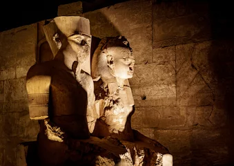 Foto op Plexiglas Statue of King Tutankhamen and his Queen at Temple of Luxor in Luxor city (Thebes) in Egypt, illuminated at night © Calin Stan