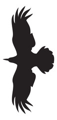 Flying raven silhouette