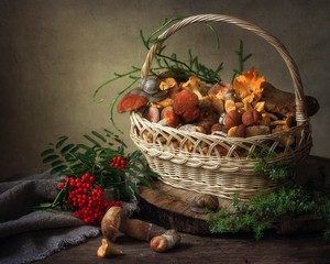 Still life with mushrooms