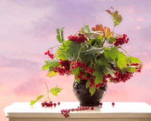 Still life with bouquet of viburnum