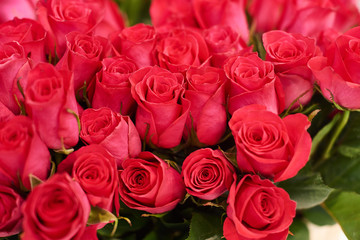 Obraz na płótnie Canvas Fresh cut red roses and arrangements in florist shop, tracking shot