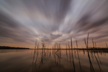 Fast cloud movement over ominous trees in a lake 