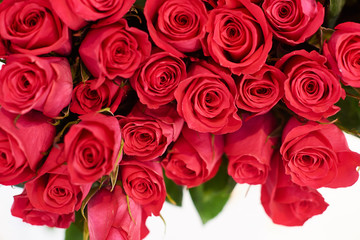 Fresh cut red roses and arrangements in florist shop, tracking shot