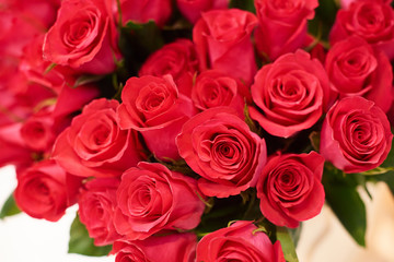Fresh cut red roses and arrangements in florist shop, tracking shot
