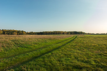 Obraz premium Wheel tracks on a green meadow, autumn forest and clear sky