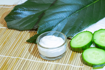 Natural Skin Care Products. View ingredients on table concept of the best all natural face moisturizer. 