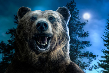 Brown grizzly bear head in the forest. A roaring bear with an open mouth. Moon light