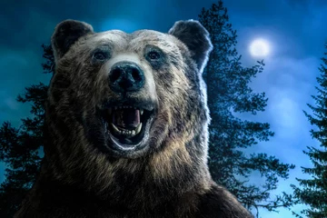 Foto auf Glas Brown grizzly bear head in the forest. A roaring bear with an open mouth. Moon light © Degimages