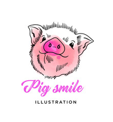 Hand drawn vector pig cute face. Piglet outline simple drawing, pink watercolors splash.
