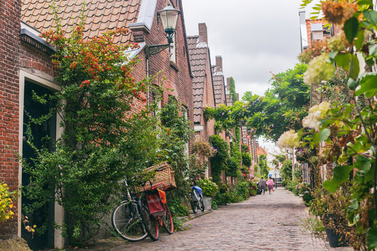 Green narrow old street of Alkmaar, Netherlands