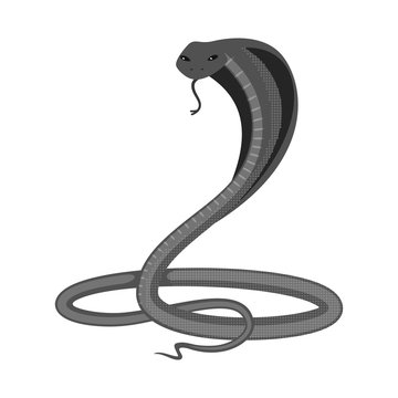 Vector design of harm and bite icon. Collection of harm and reptile stock symbol for web.