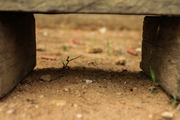 Small wooden chair